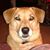 Doris Bruun's profile image