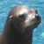 Will O'Hara's profile image