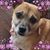 Shelley Vert's profile image