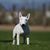 Brandy Escamilla's profile image