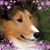 Denese Oster Hames's profile image