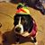 Demetrice Watts's profile image