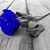 Donna Weaver McMurphy's profile image