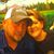 Michael Challis's profile image