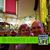 Diane Burke's profile image