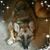 Alicia Bee's profile image