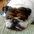 Jane Koch's profile image