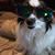 Crystal Meahl's profile image