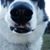 Nancy Eckstrom's profile image