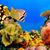 Sue French Walrath Effinger's profile image
