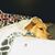 Caroline Bobbett Hill's profile image
