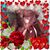 Valerie Langille Howard's profile image