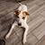 Triston Kalen's profile image