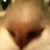 Linda Innes's profile image