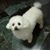 Karen Hsu's profile image