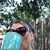 Rachell Reed's profile image