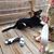 Kathy Ulrich's profile image