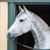 Barb McCaslin Riffey's profile image