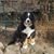 Linda Nowakowski Oliveri's profile image