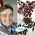 Nicolas Agoutin's profile image