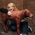 Joan Kierstead Walker's profile image