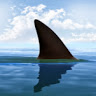 tamar k.'s profile image