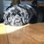 Amy Kroeger's profile image