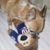 Kelly Hoffman's profile image
