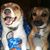 Sherry Kearns's profile image