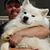 Barry Lee's profile image