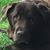Nancy Christensen-Miller's profile image