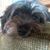 Christie Moore Slaton's profile image