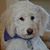 Kami Weiland Findall's profile image