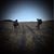 Brenda Aerts's profile image