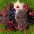 Julie Owens's profile image