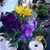 Debbie Wilson's profile image