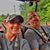 Lee Ann Fraliex Breedlove's profile image