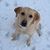 Brandon Oelschlager's profile image