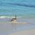 Tracy Norris Belden's profile image