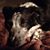 Marjorie Young's profile image