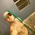 Nathan Randall Klinkhammer's profile image