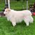 Fran Donatelli-Thornton's profile image