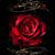 Sandra Mcclary's profile image