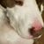 Lovey Allen's profile image