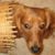 Kay Bernard's profile image
