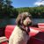 Holly Wharton Haines's profile image