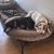 Suzy Sayre's profile image