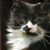 Jean Morrow's profile image