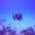 Tammie Baker Hopkins's profile image