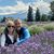 Shelly Altman Harvey's profile image